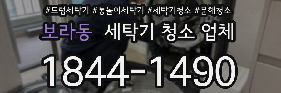보라동 세탁기 청소 업체