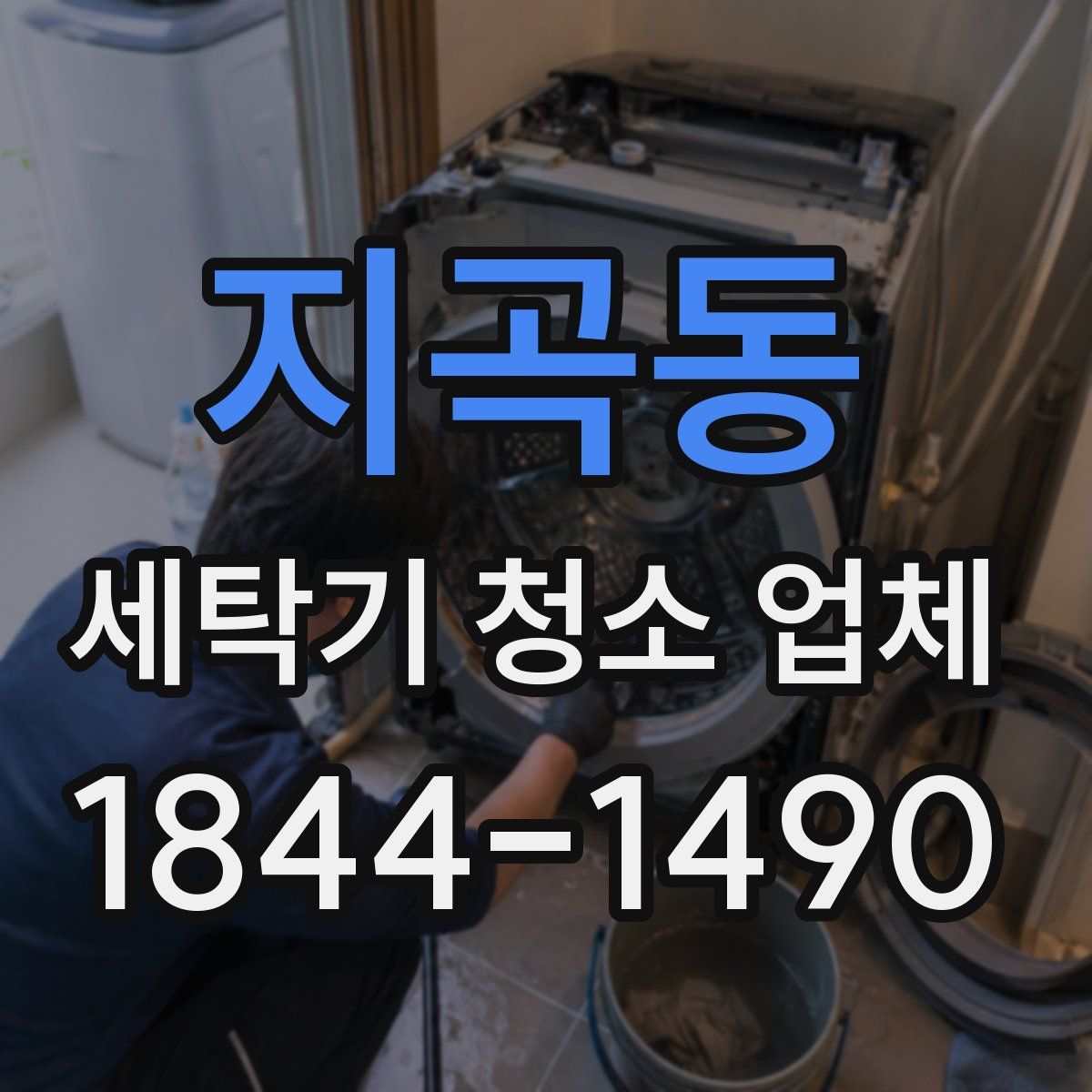 지곡동 세탁기 청소 업체