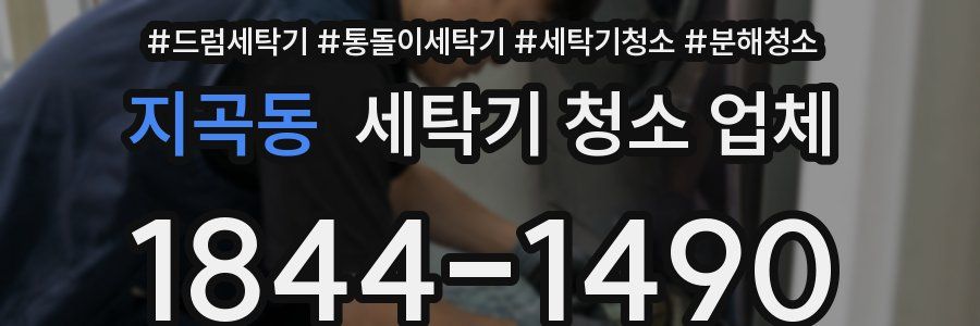 지곡동 세탁기 청소 업체
