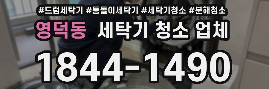 영덕동 세탁기 청소 업체