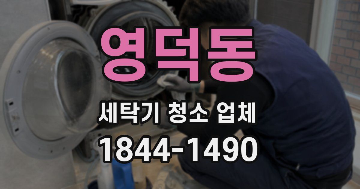 영덕동 세탁기 청소 업체