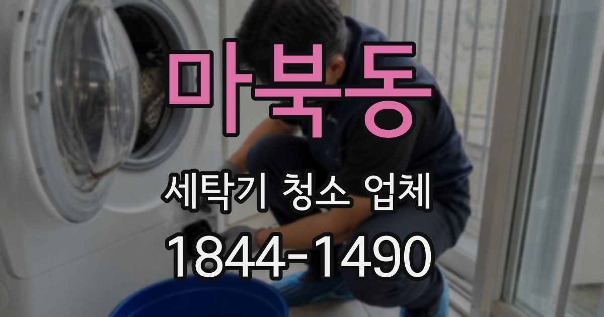 마북동 세탁기 청소 업체