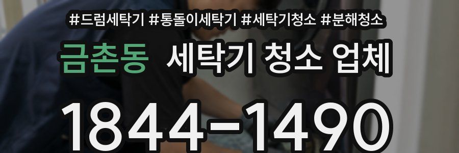 금촌동 세탁기 청소 업체