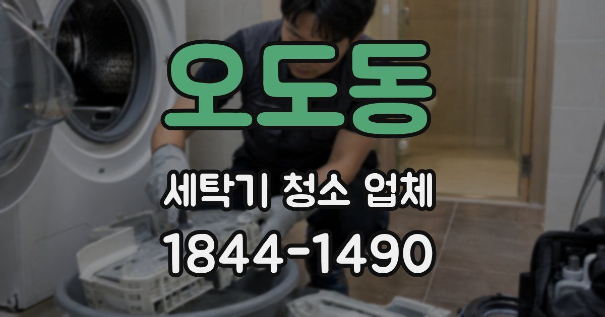오도동 세탁기 청소 업체
