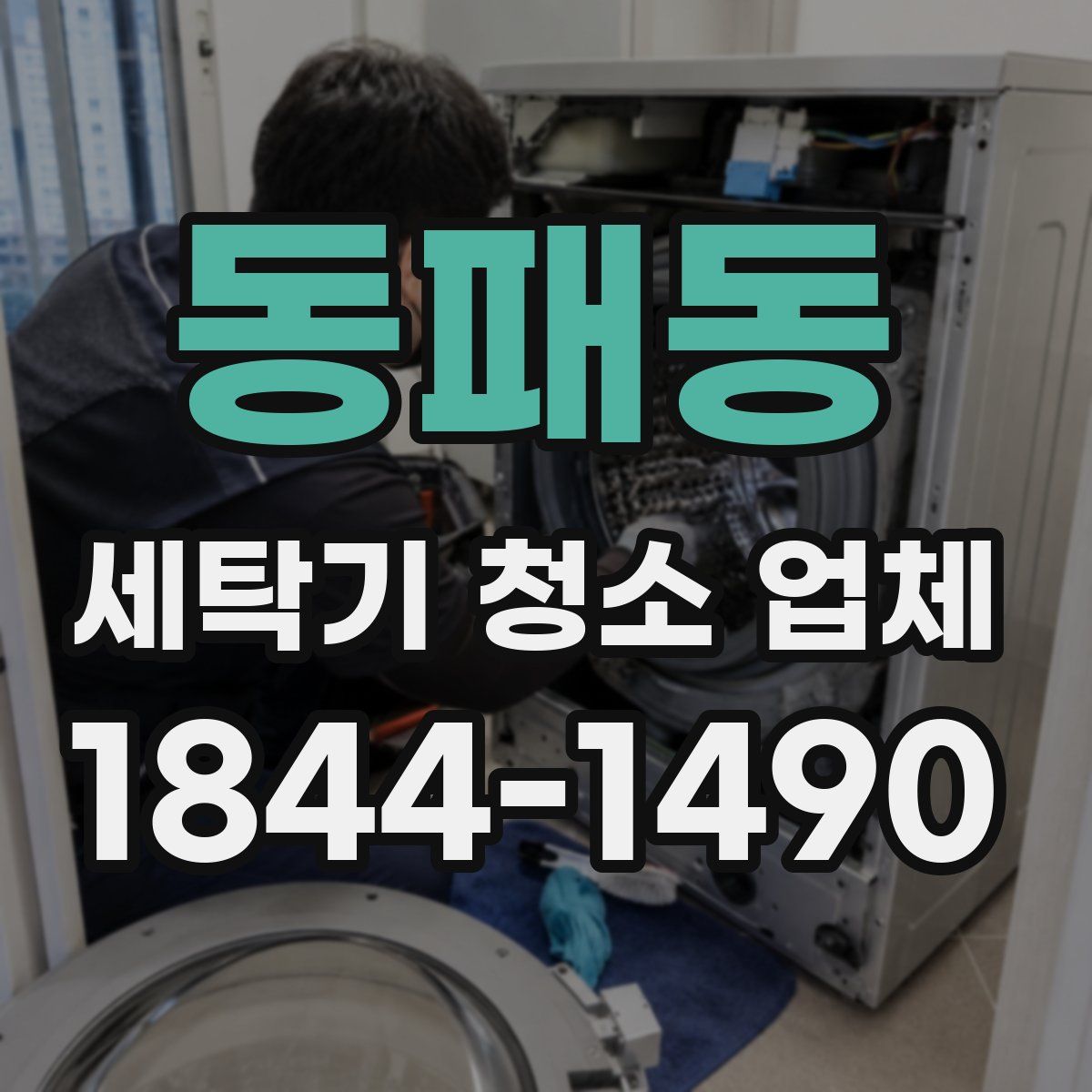 동패동 세탁기 청소 업체