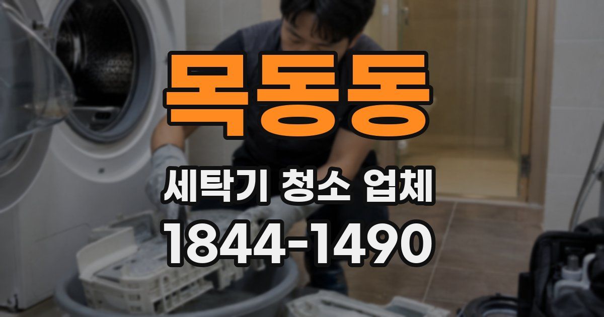 목동동 세탁기 청소 업체