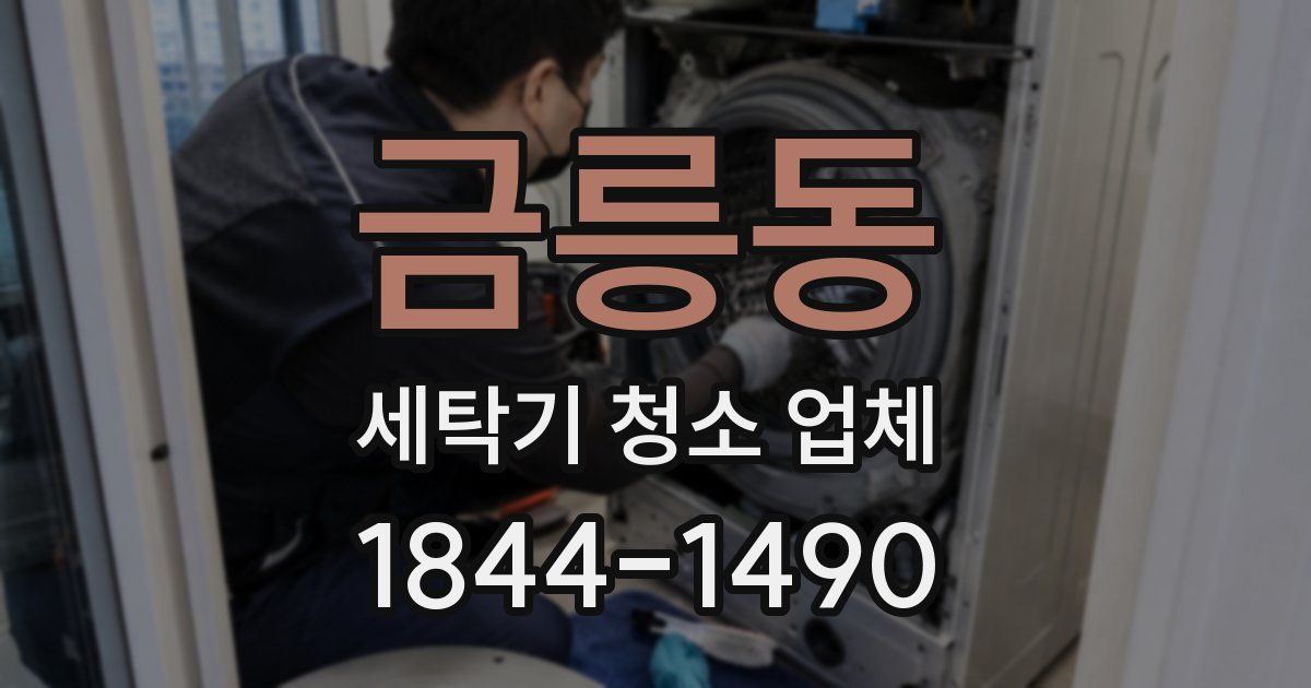 금릉동 세탁기 청소 업체
