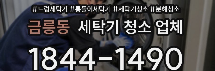 금릉동 세탁기 청소 업체