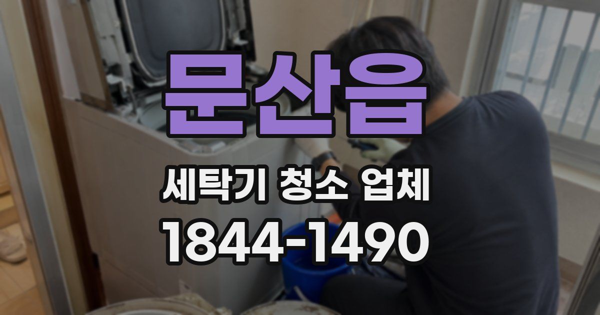 문산읍 세탁기 청소 업체