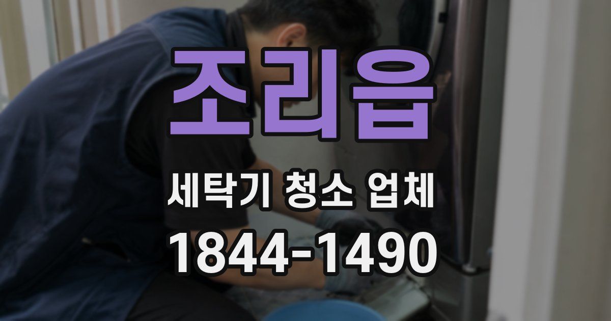 조리읍 세탁기 청소 업체