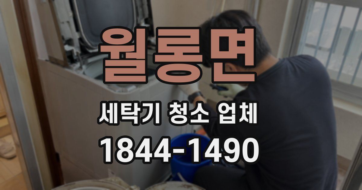 월롱면 세탁기 청소 업체