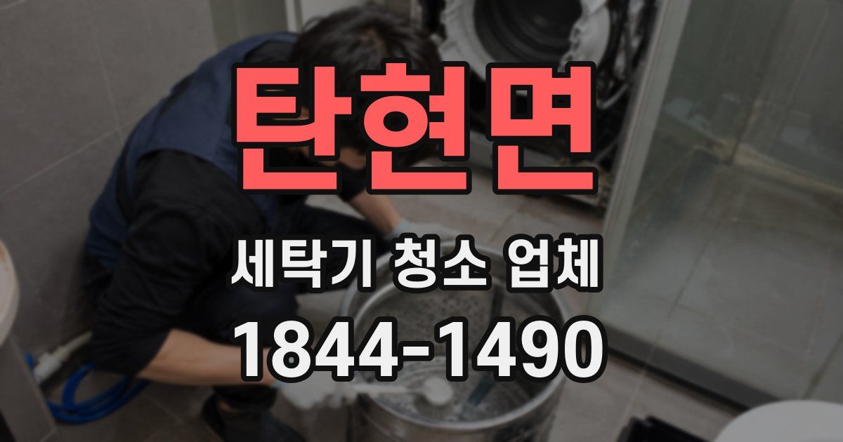 탄현면 세탁기 청소 업체