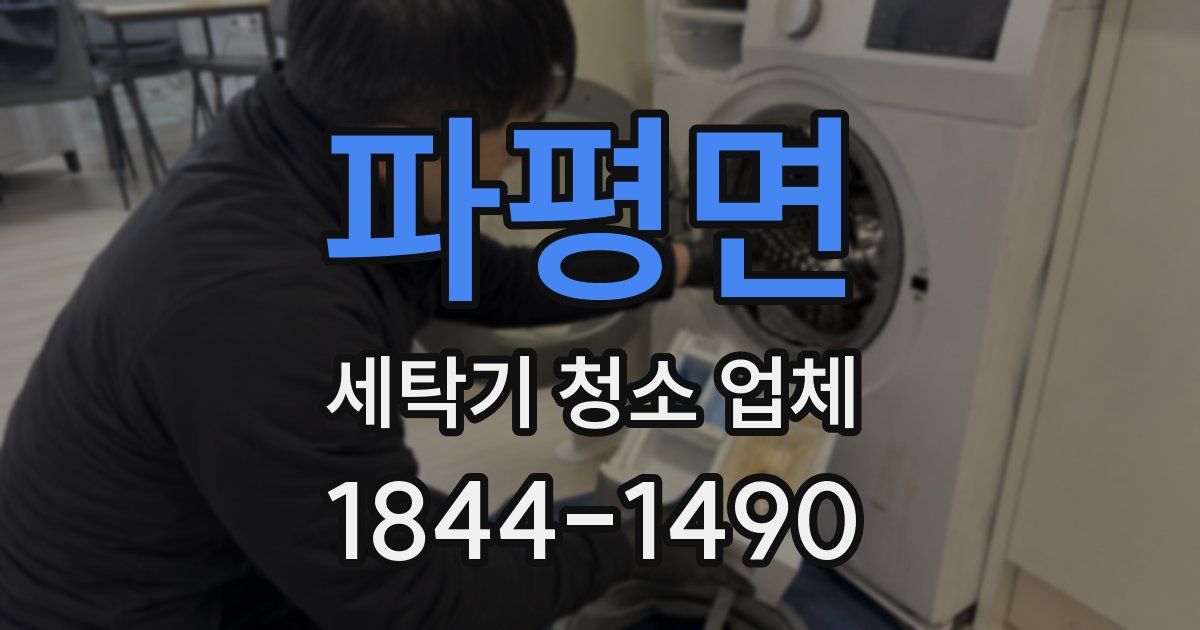 파평면 세탁기 청소 업체
