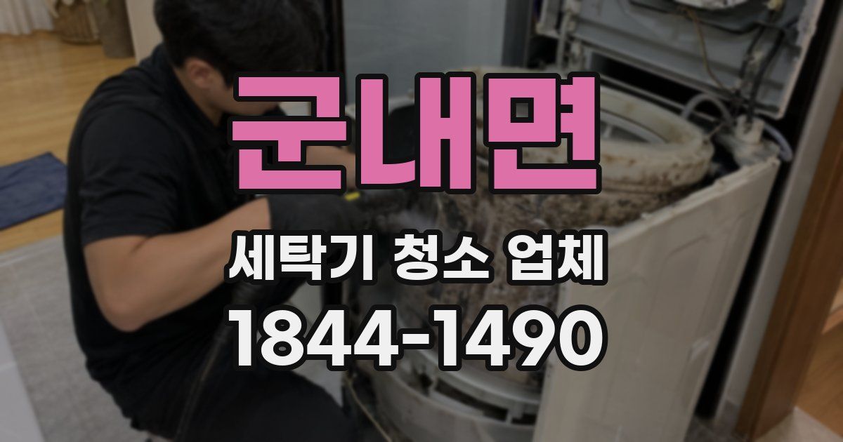 군내면 세탁기 청소 업체