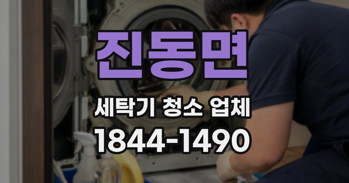 진동면 세탁기 청소 업체