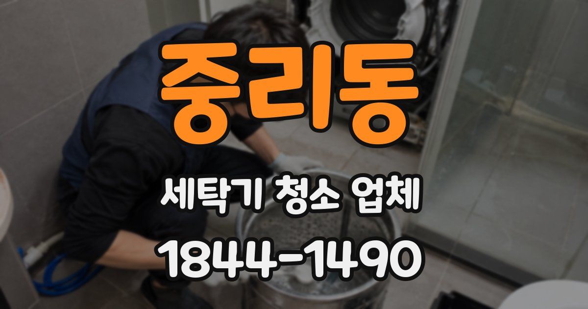 중리동 세탁기 청소 업체