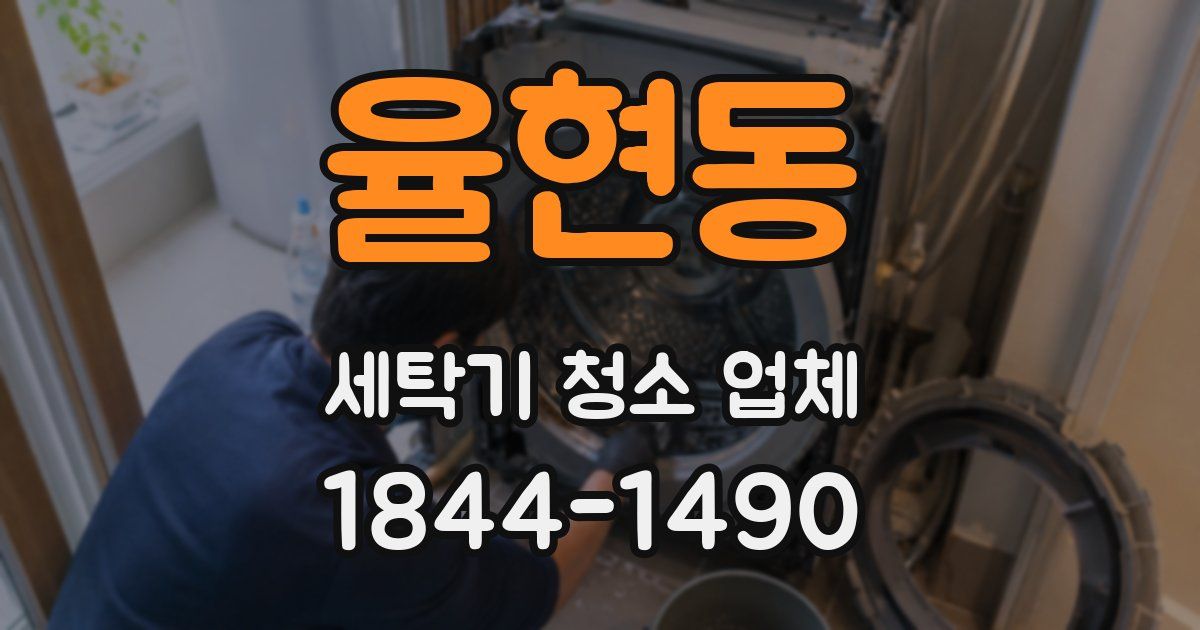 율현동 세탁기 청소 업체