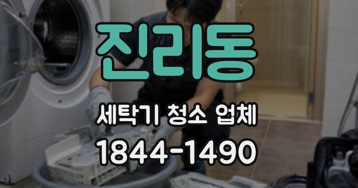 진리동 세탁기 청소 업체