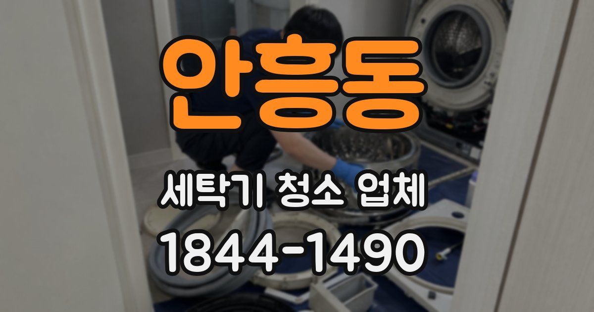 안흥동 세탁기 청소 업체