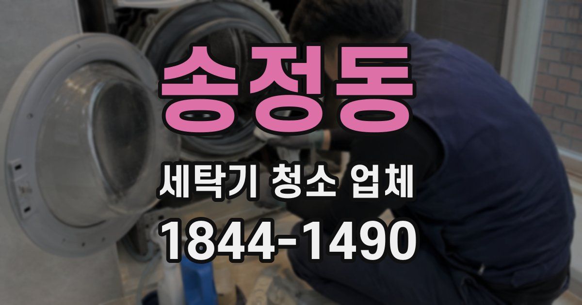 송정동 세탁기 청소 업체