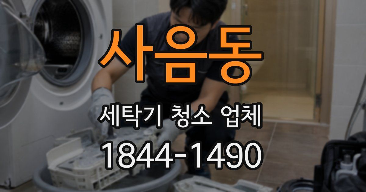 사음동 세탁기 청소 업체