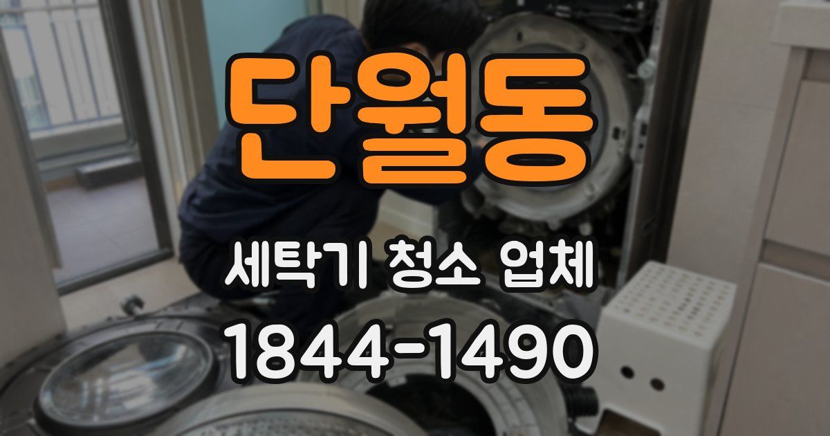 단월동 세탁기 청소 업체