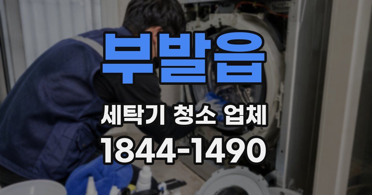 부발읍 세탁기 청소 업체