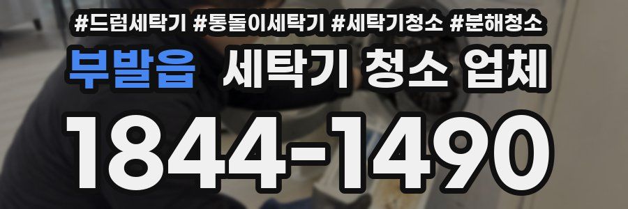 부발읍 세탁기 청소 업체