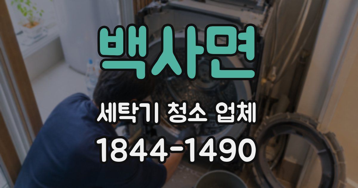 백사면 세탁기 청소 업체