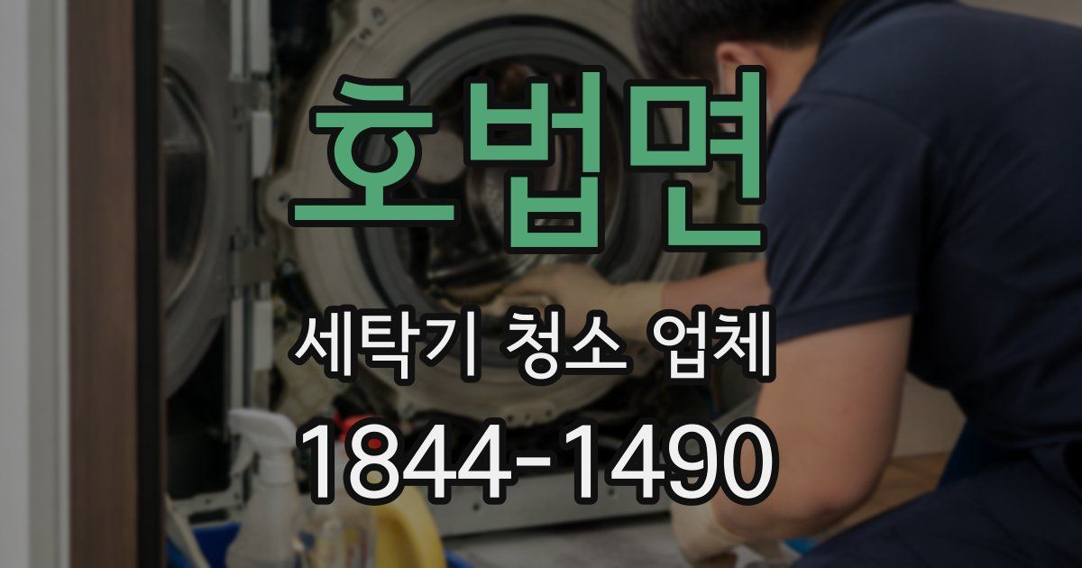 호법면 세탁기 청소 업체