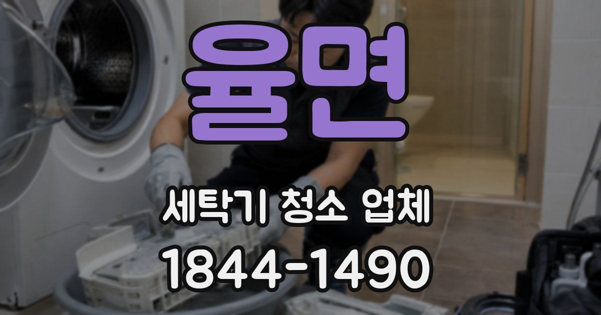 율면 세탁기 청소 업체