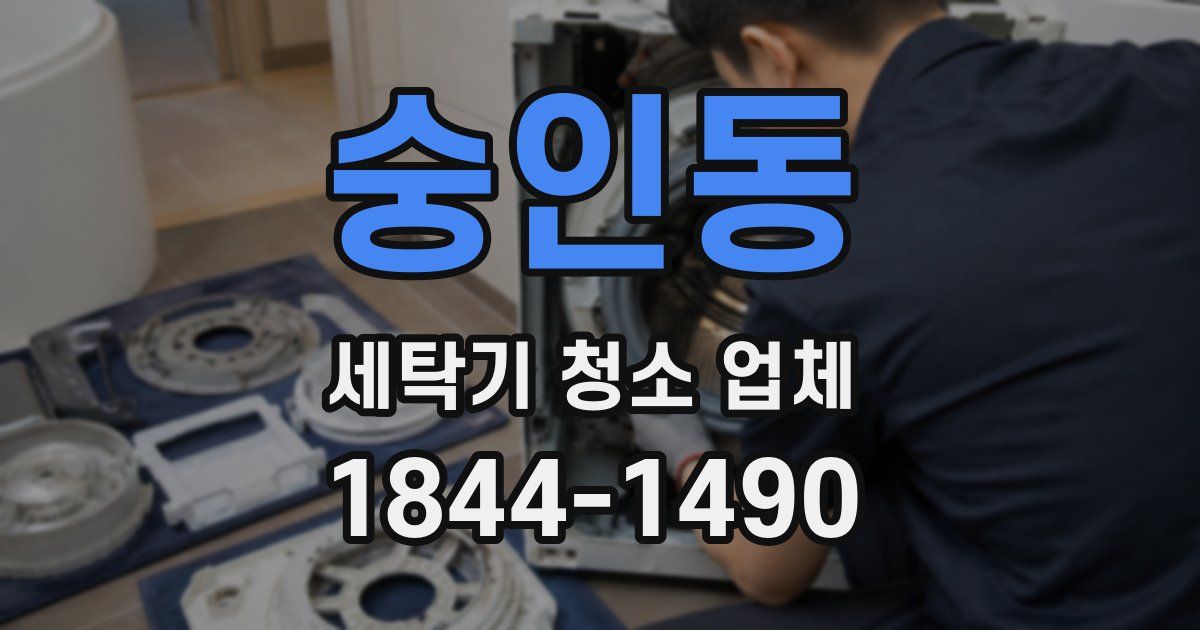 숭인동 세탁기 청소 업체
