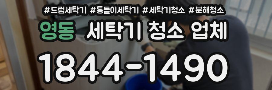 영동 세탁기 청소 업체