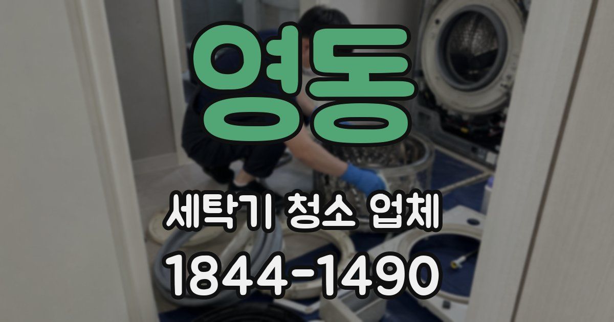 영동 세탁기 청소 업체