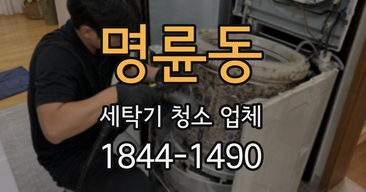 명륜동 세탁기 청소 업체
