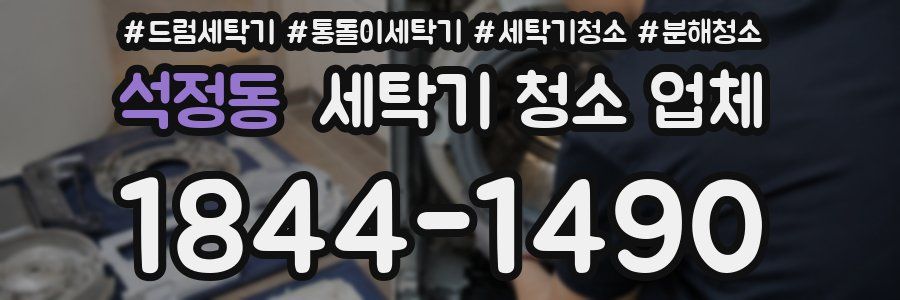 석정동 세탁기 청소 업체