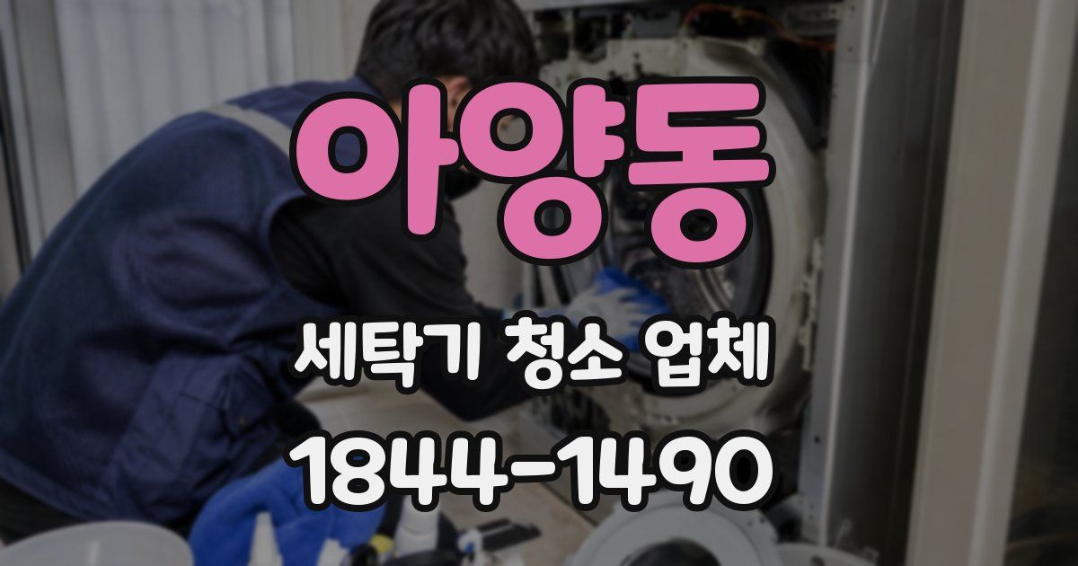 아양동 세탁기 청소 업체
