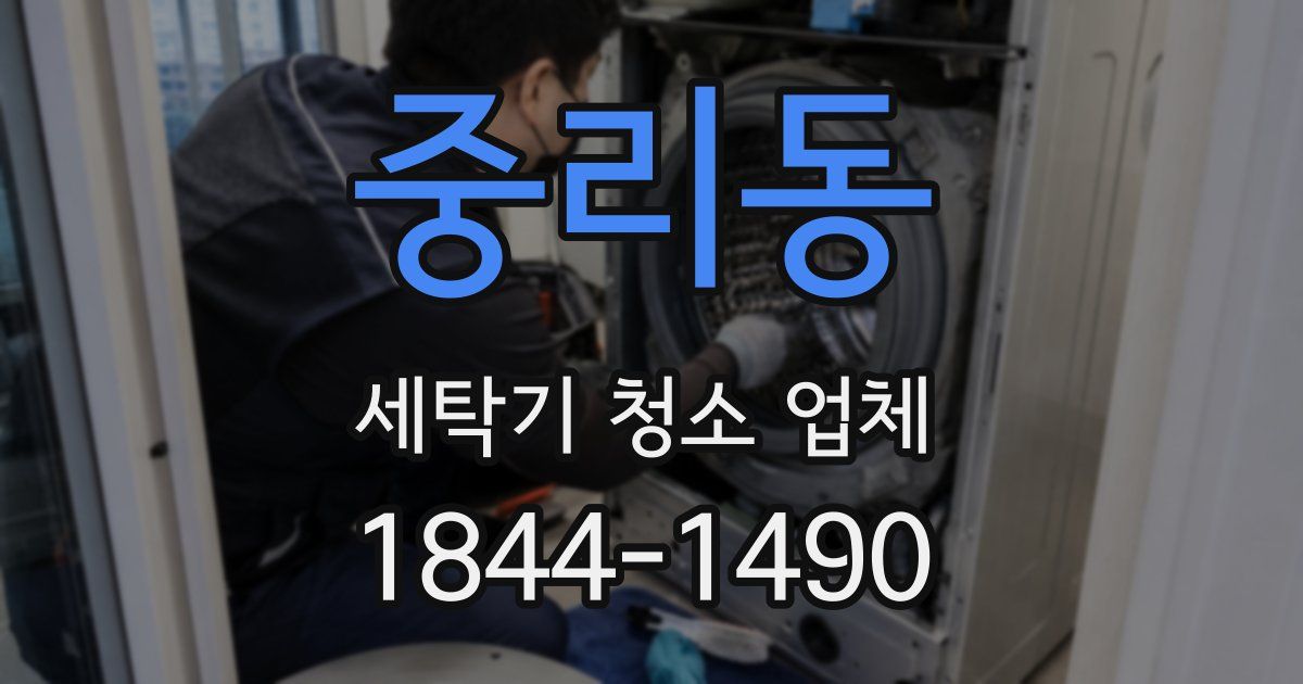 중리동 세탁기 청소 업체