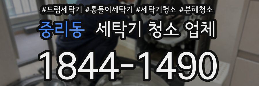 중리동 세탁기 청소 업체