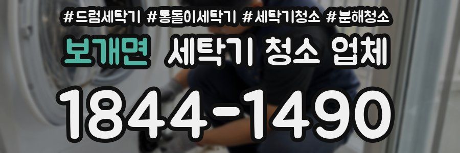 보개면 세탁기 청소 업체