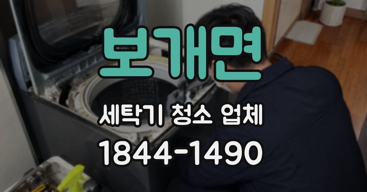 보개면 세탁기 청소 업체