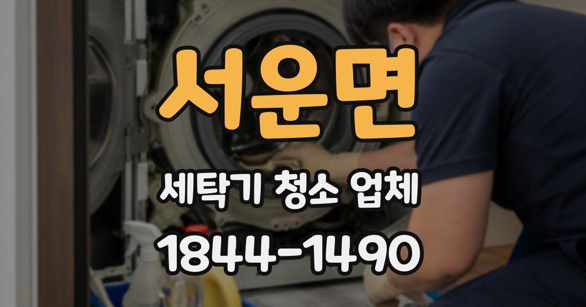 서운면 세탁기 청소 업체