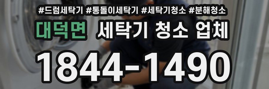 대덕면 세탁기 청소 업체