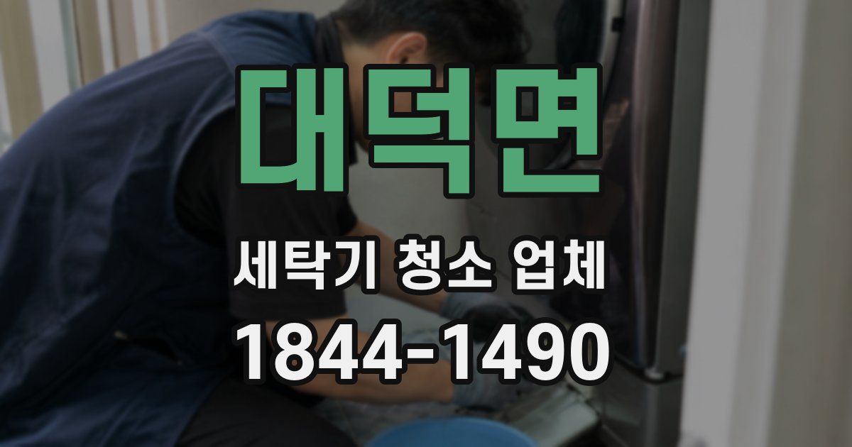 대덕면 세탁기 청소 업체