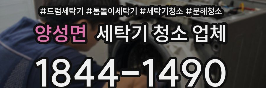양성면 세탁기 청소 업체