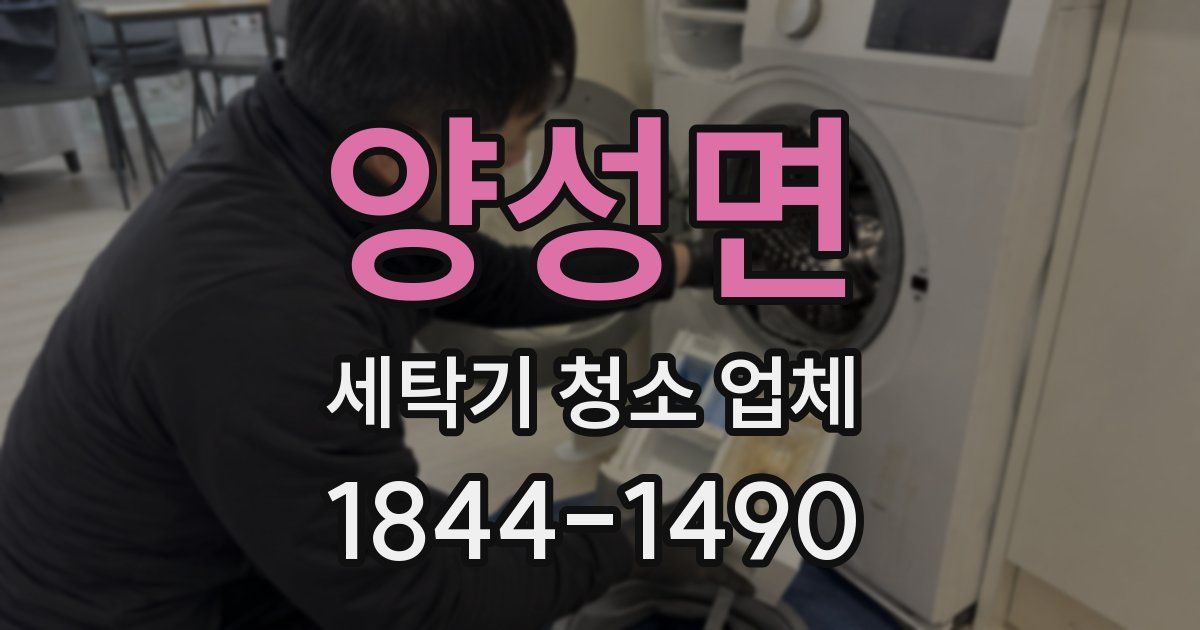 양성면 세탁기 청소 업체