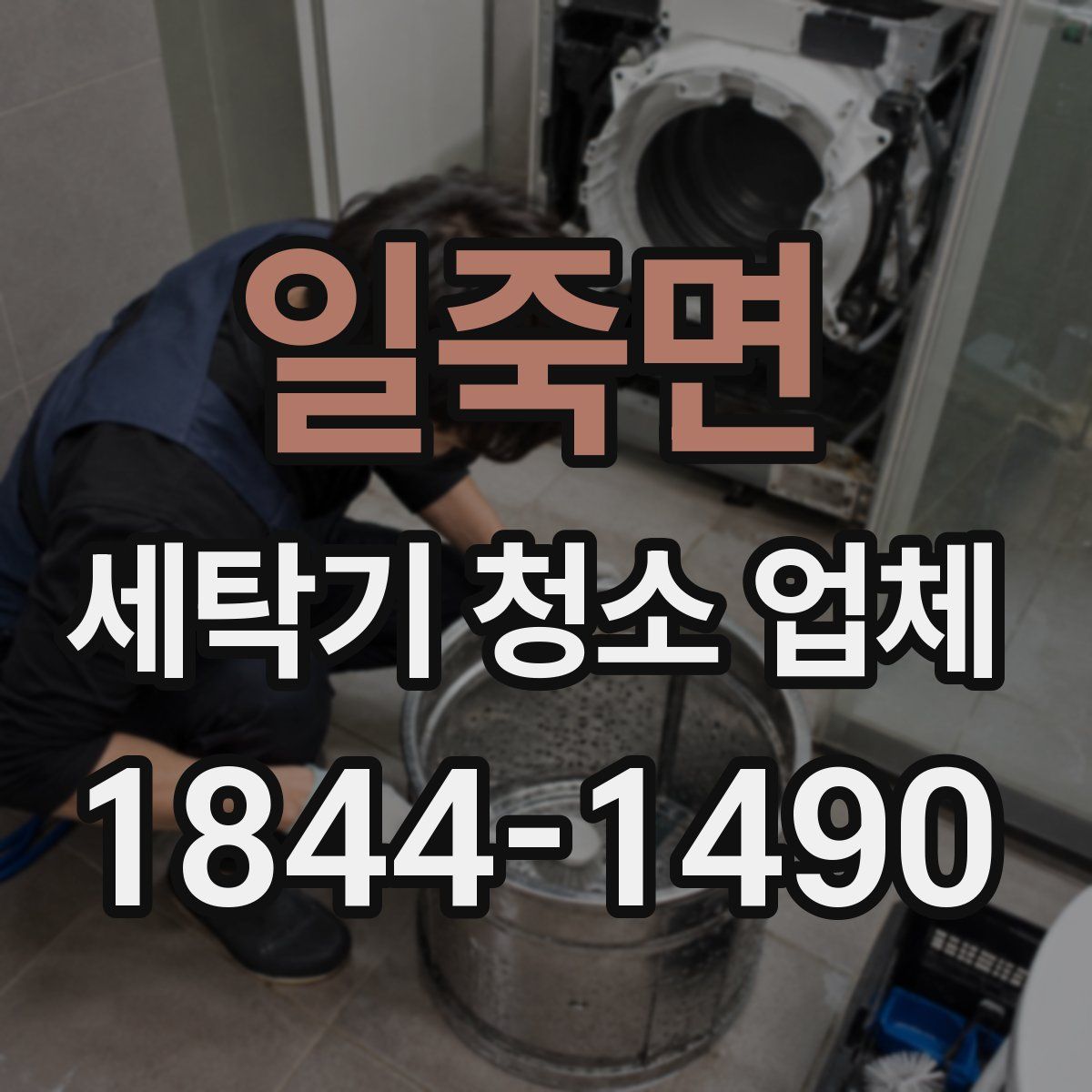 일죽면 세탁기 청소 업체