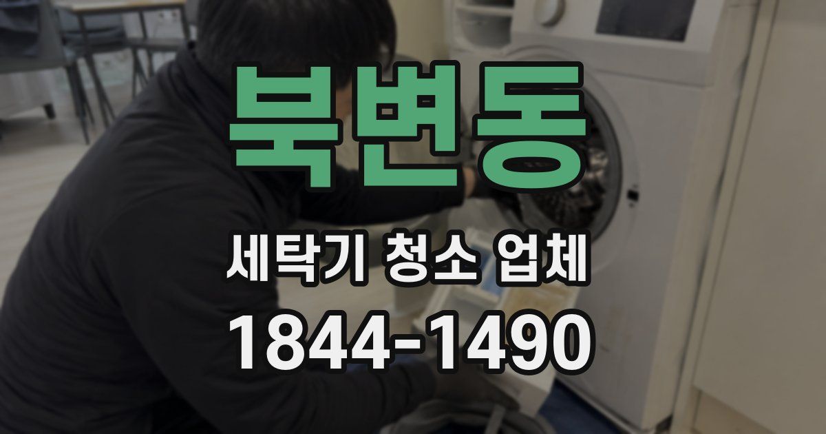 북변동 세탁기 청소 업체