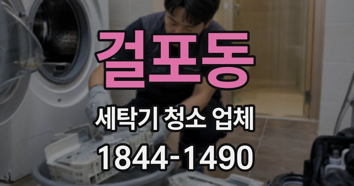 걸포동 세탁기 청소 업체