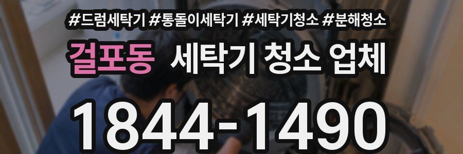 걸포동 세탁기 청소 업체